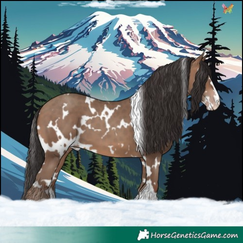 Horse Color:White Spotted Sable Champagne 