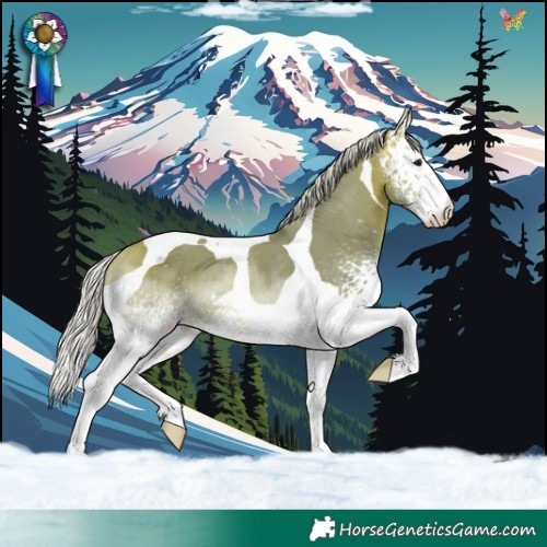 Horse Color:Watercolor White Spotted Silver Bay Tobiano 