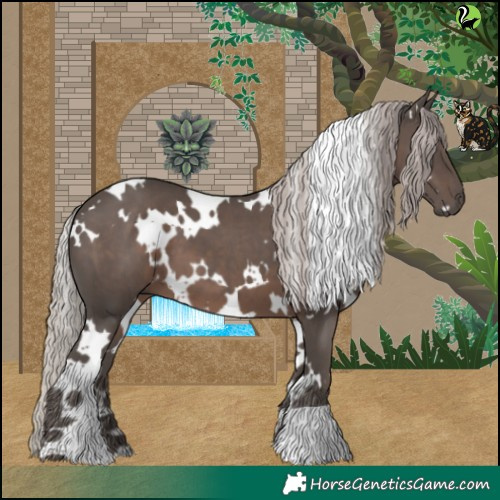 Horse Color:White Spotted Silver Black 