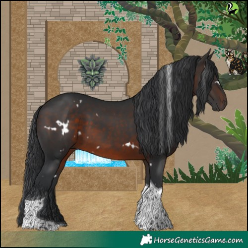 Horse Color:White Spotted Brown Tobiano