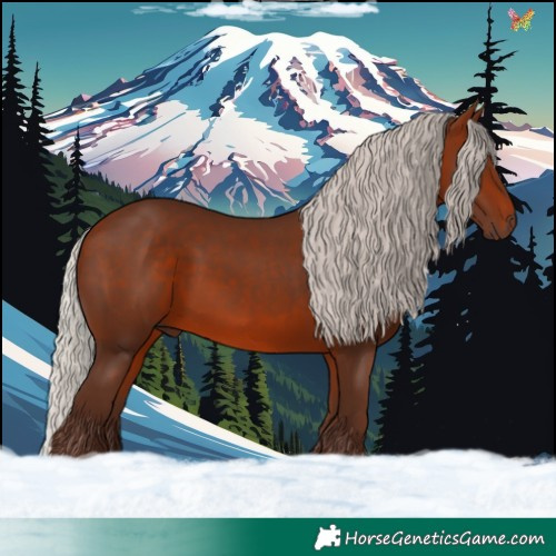 Horse Color:Silver Brown