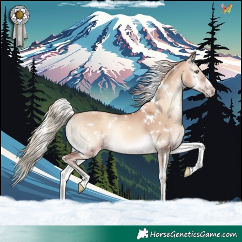 Horse Color:White Spotted Gold Champagne Onyx Rabicano