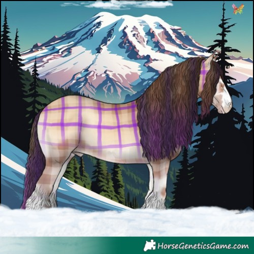 Horse Color:Plaid  Amber Champagne Onyx 