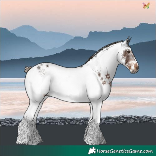 Horse Color:Gray White Spotted Liver Chestnut Ice 
