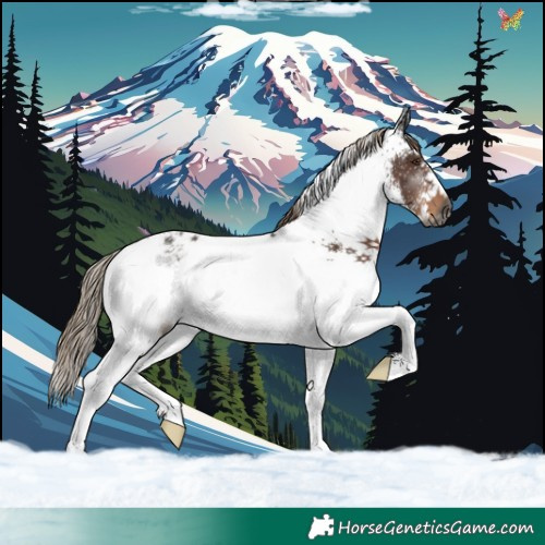 Horse Color:Gray White Spotted Liver Chestnut Ice