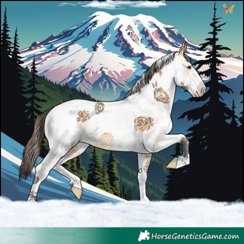 Horse Color:White Spotted Buckskin