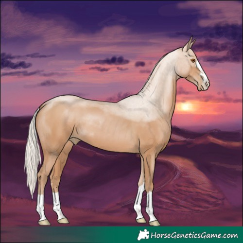 Horse Color:Silver Black Pearl 