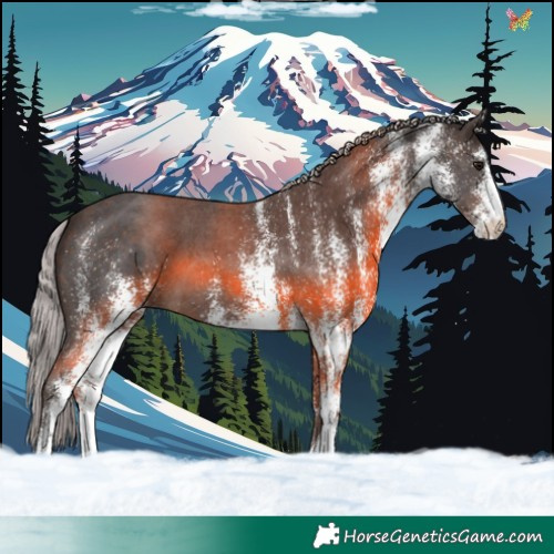 Horse Color:White Spotted Silver Brown