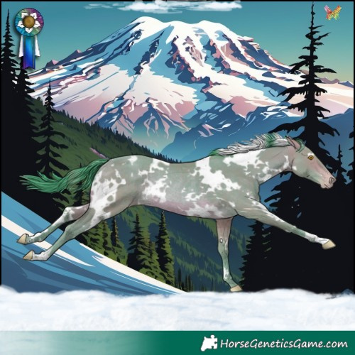 Horse Color:Watercolor White Spotted Sable Champagne Rabicano 