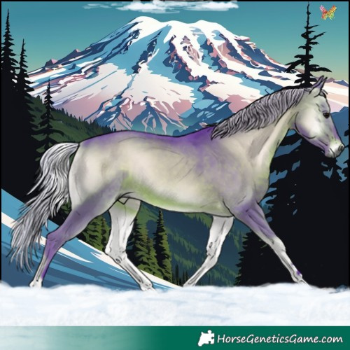 Horse Color:Gray Watercolor Silver Brown Onyx 