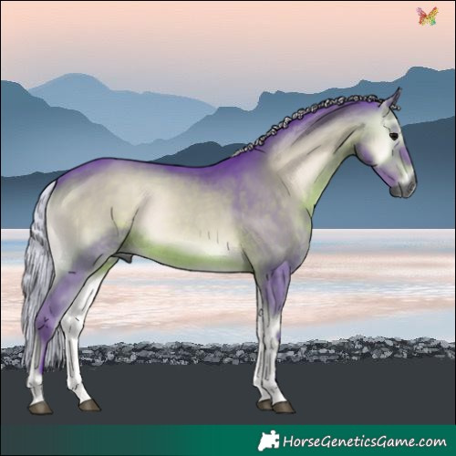 Horse Color:Gray Watercolor Silver Brown Onyx