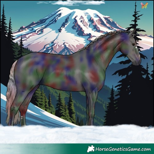 Horse Color:Gray Nacre Silver Brown