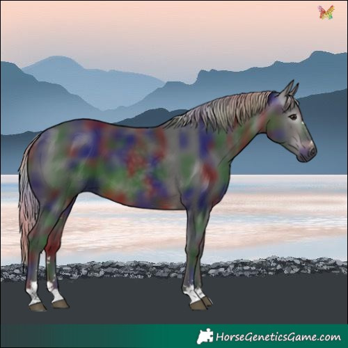 Horse Color:Gray Nacre Silver Brown