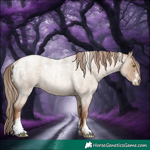 Horse Color:Powder White Liver Red Dun Roan Pearl 