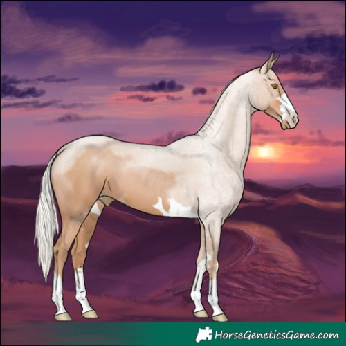 Horse Color:Silver Black Pearl