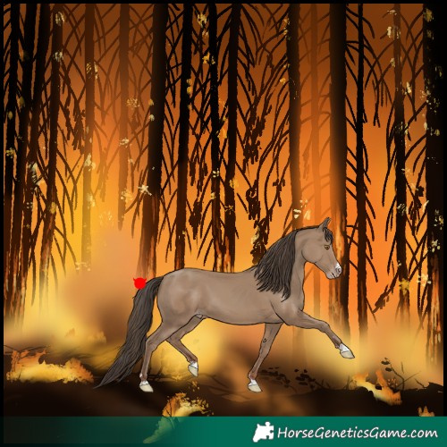 Horse Color:Classic Champagne 