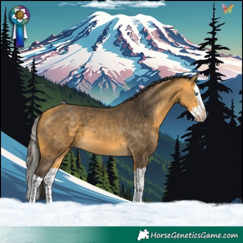 Horse Color:Buckskin Splash