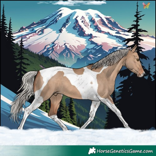 Horse Color:Silver Brown Dun Tobiano