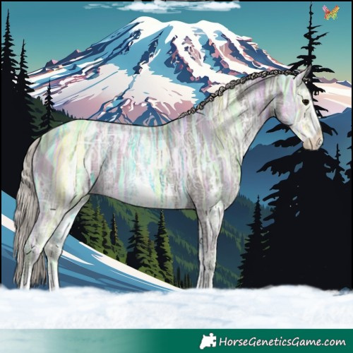 Horse Color:Silver Black Ice Sabino
