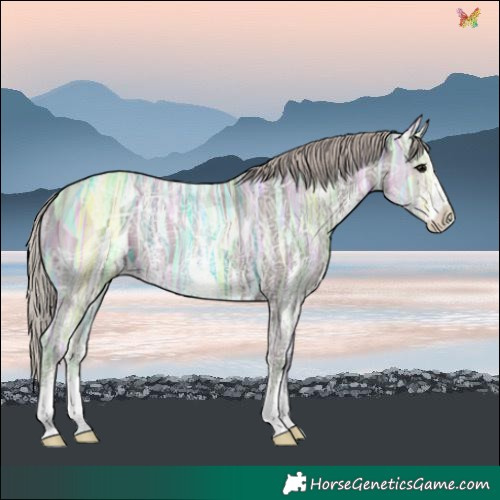 Horse Color:Silver Black Ice Sabino
