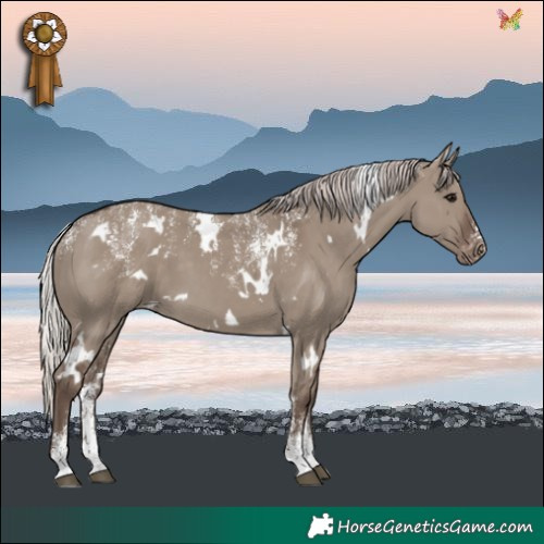Horse Color:Powder White White Spotted Silver Grullo Varnish 
