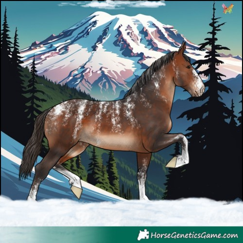 Horse Color:Powder White Brown