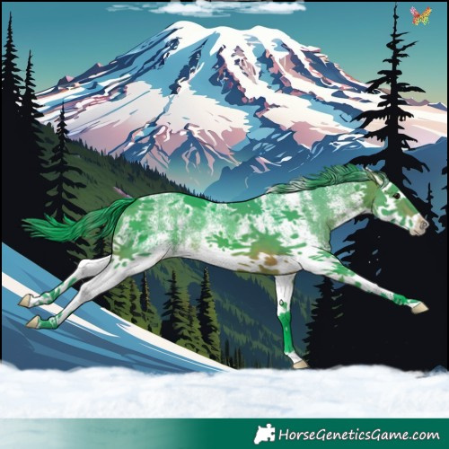 Horse Color:Powder White Watercolor White Spotted Brown Splash