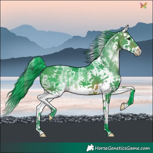 Horse Color:Powder White Watercolor White Spotted Brown Splash