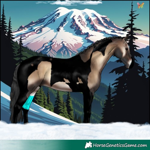 Horse Color:Void Brown Onyx Tobiano 