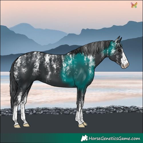Horse Color:Powder White Black 