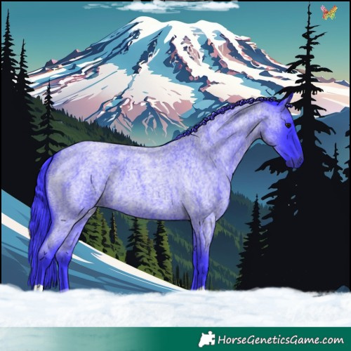 Horse Color:Watercolor Blue Roan