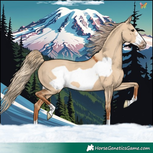 Horse Color:Red Dun Frame 