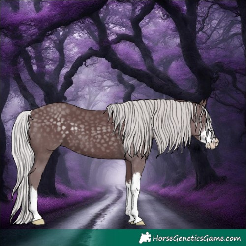 Horse Color:White Spotted Chocolate Silver Black Chinchilla 