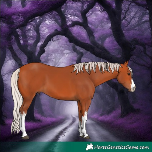 Horse Color:White Spotted Chocolate Silver Bay