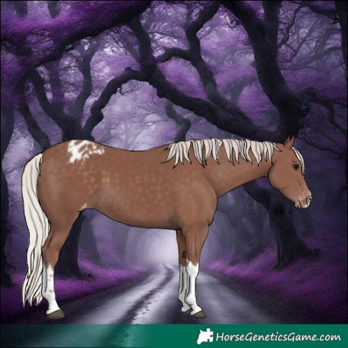 Horse Color:White Spotted Chocolate Silver Black Varnish