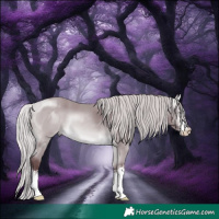 Horse Color:White Spotted Chocolate Silver Bay Chinchilla