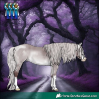 Horse Color:White Spotted Chocolate Silver Bay Chinchilla 