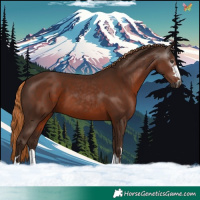 Horse Color:Gray Chestnut 