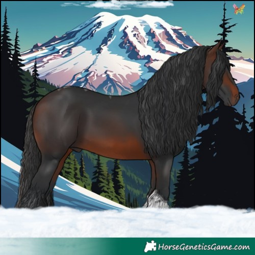 Horse Color:Brown Tobiano