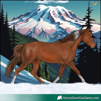 Horse Color:Chestnut Tobiano 