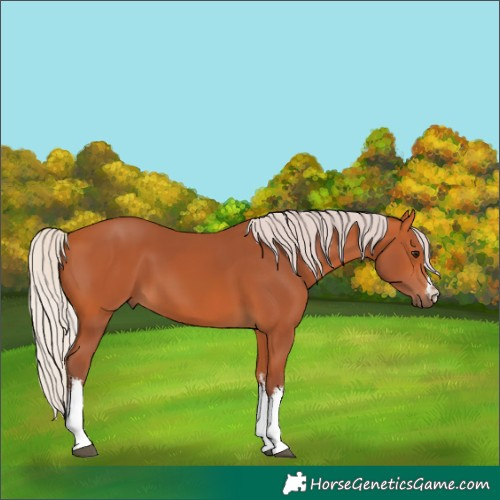 Horse Color:White Spotted Chocolate Silver Bay