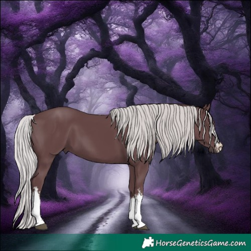 Horse Color:White Spotted Chocolate Silver Black Chinchilla 