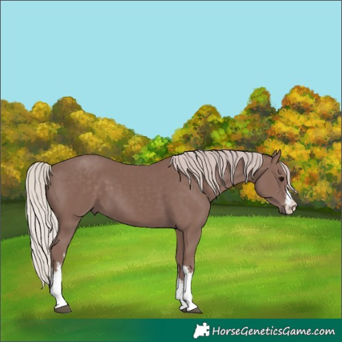 Horse Color:White Spotted Chocolate Silver Black