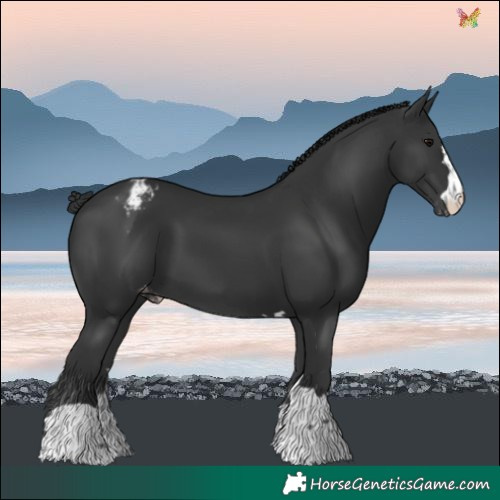 Horse Color:Black Varnish 