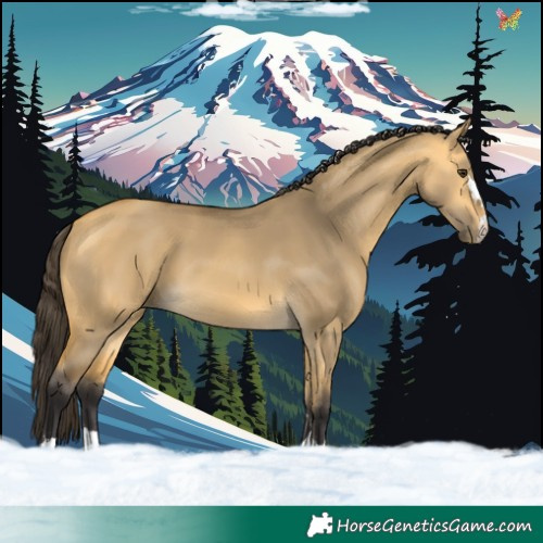 Horse Color:Buckskin Dun