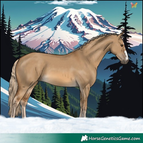 Horse Color:Chocolate Palomino Dun