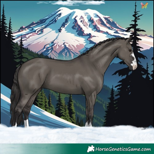 Horse Color:Smoky Grullo 