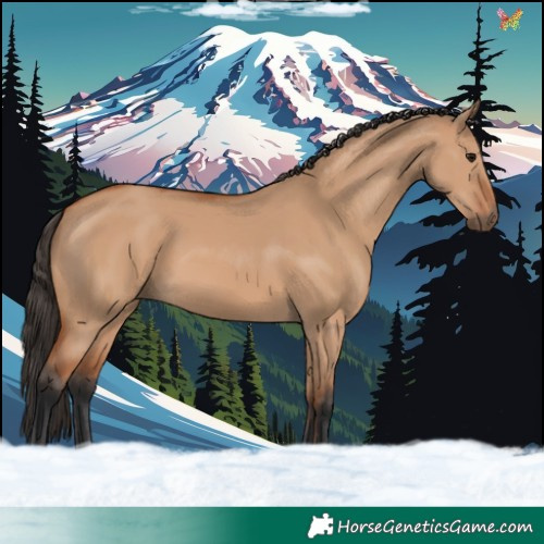 Horse Color:Bay Dun
