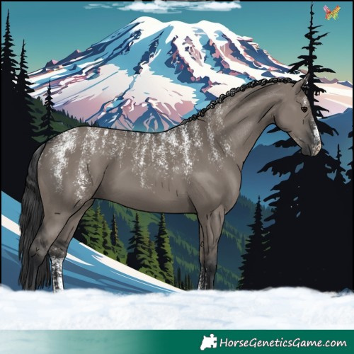 Horse Color:Powder White Grullo 