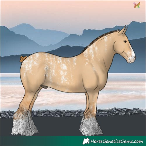 Horse Color:Powder White Red Dun